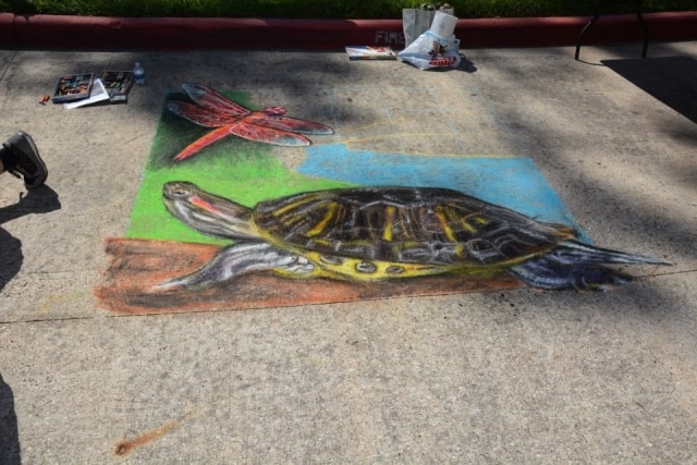 Completed chalk art mural of a red-eared slider turtle and red dragonfly on the pavement at CreekFest Houston