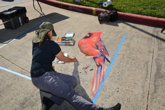 Chalk artist seated on the pavement creating a detailed red cardinal painting at CreekFest Houston