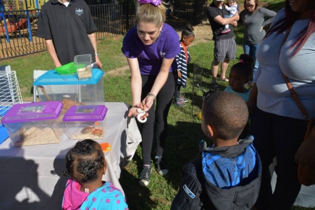 Volunteer showing insects to children at CreekFest Houston