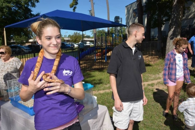 Young woman holding a corn snake at the CreekFest animal exhibit