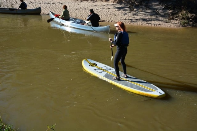 Paddleboarder on Cypress Creek at CreekFest