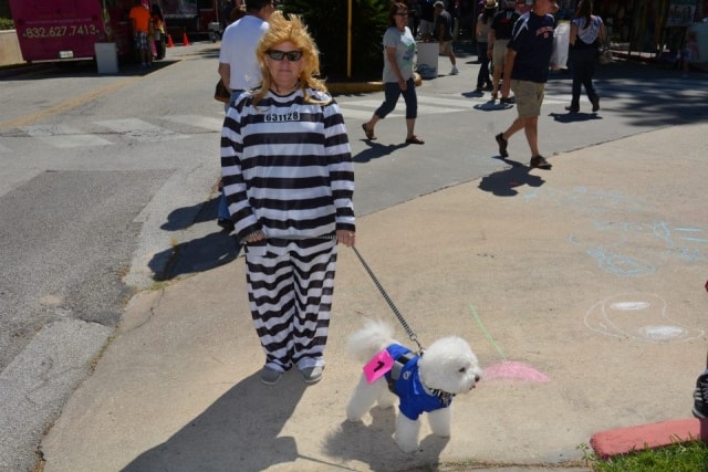 Person in a striped prison costume walking a small white dog at the CreekFest dog show