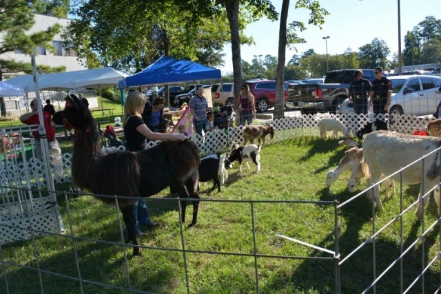 Families and children at the petting zoo with llamas and goats at CreekFest Houston