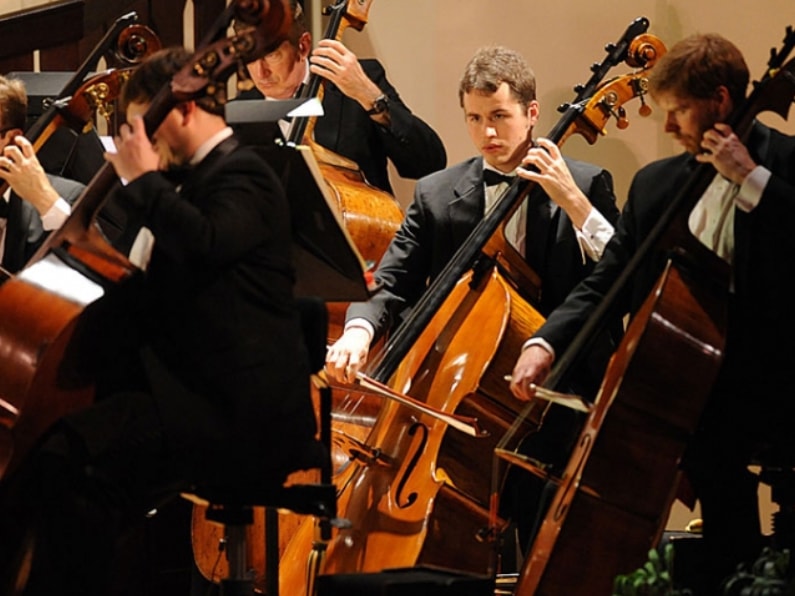 Houston Symphony Orchestra cello and bass section