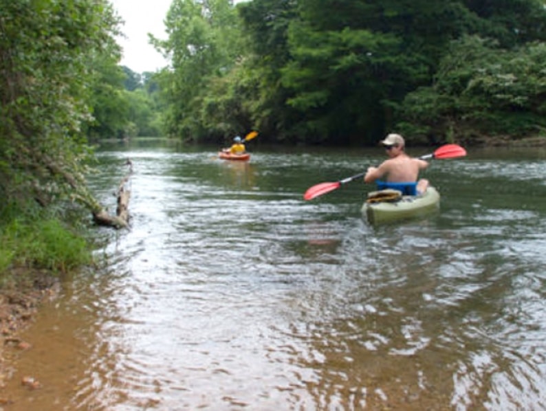 Kayakers on Cypress Creek